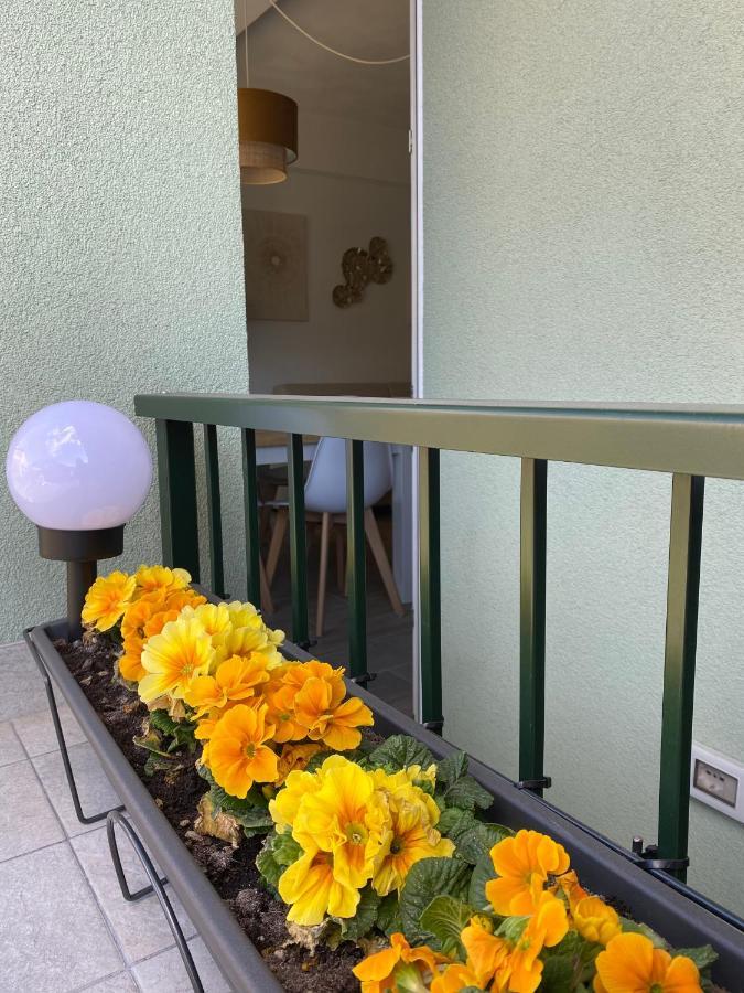 Valtellina Vacanze ソンドリオ エクステリア 写真